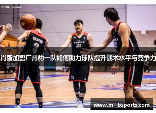 肖智加盟广州豹一队如何助力球队提升战术水平与竞争力 肖智加盟广州豹一队如何助力球队提升战术水平与竞争力