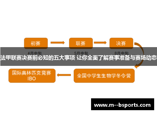 法甲联赛决赛前必知的五大事项 让你全面了解赛事准备与赛场动态