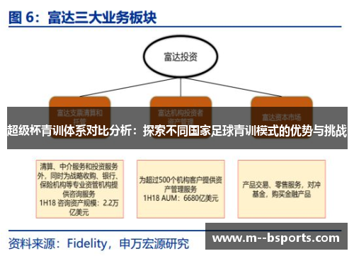 超级杯青训体系对比分析：探索不同国家足球青训模式的优势与挑战