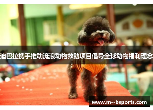 迪巴拉携手推动流浪动物救助项目倡导全球动物福利理念 迪巴拉携手推动流浪动物救助项目倡导全球动物福利理念